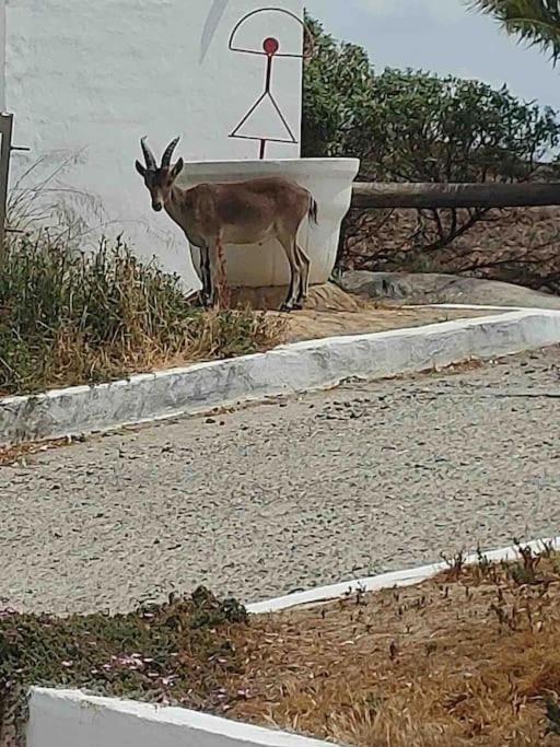 Luz De Mar Apartman Almería Kültér fotó